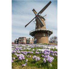 doetinchem-walmolen-voorjaar-2017